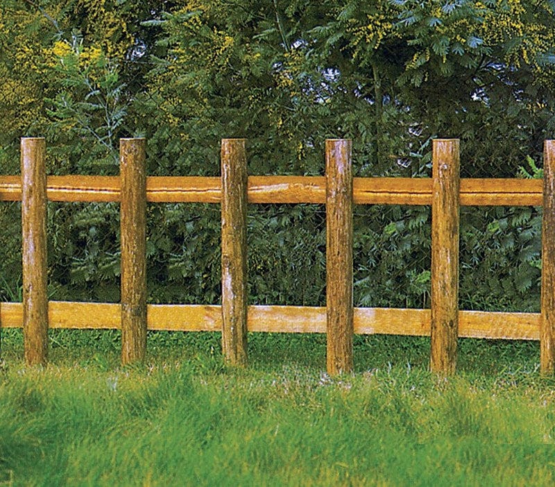 Fence in Middle Trunks