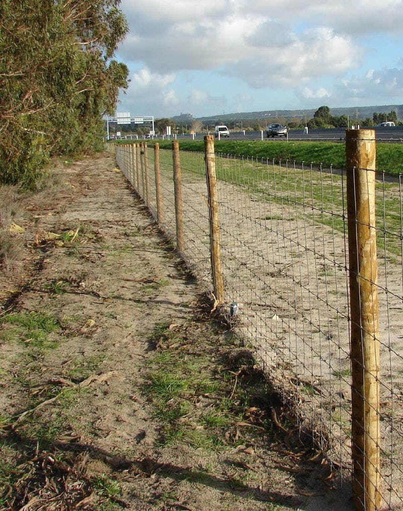 Fences for Highways or Rail Lines